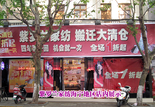 智慧的人生紫羅蘭相伴