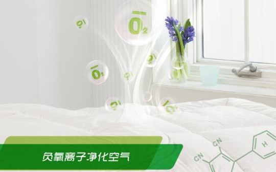 紫羅蘭生機立體枕：從此高枕無憂，因為我睡了它