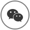 P(gun)ע΢